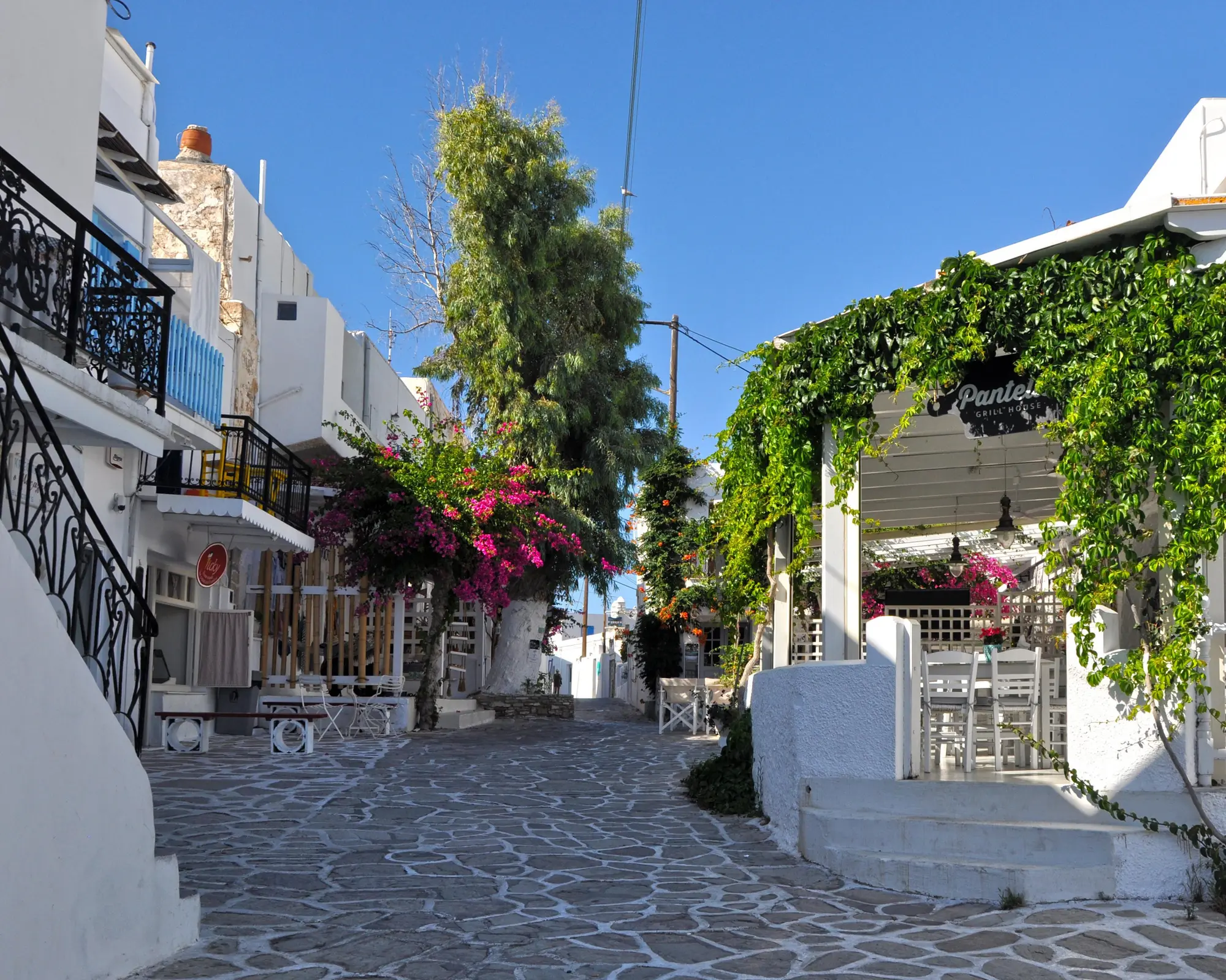 Ionian Cruise