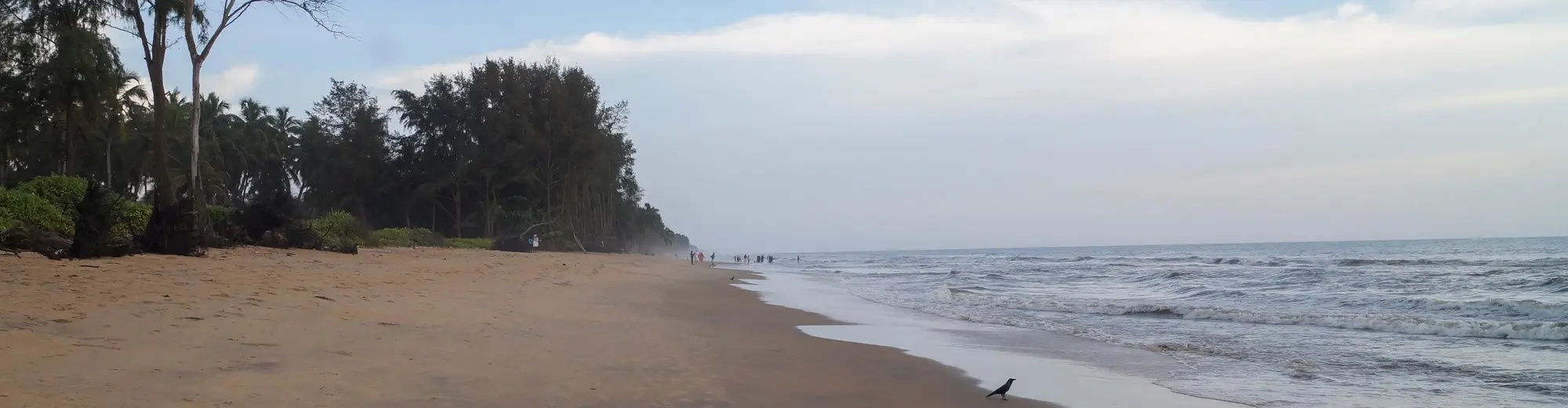 تریسور, هند