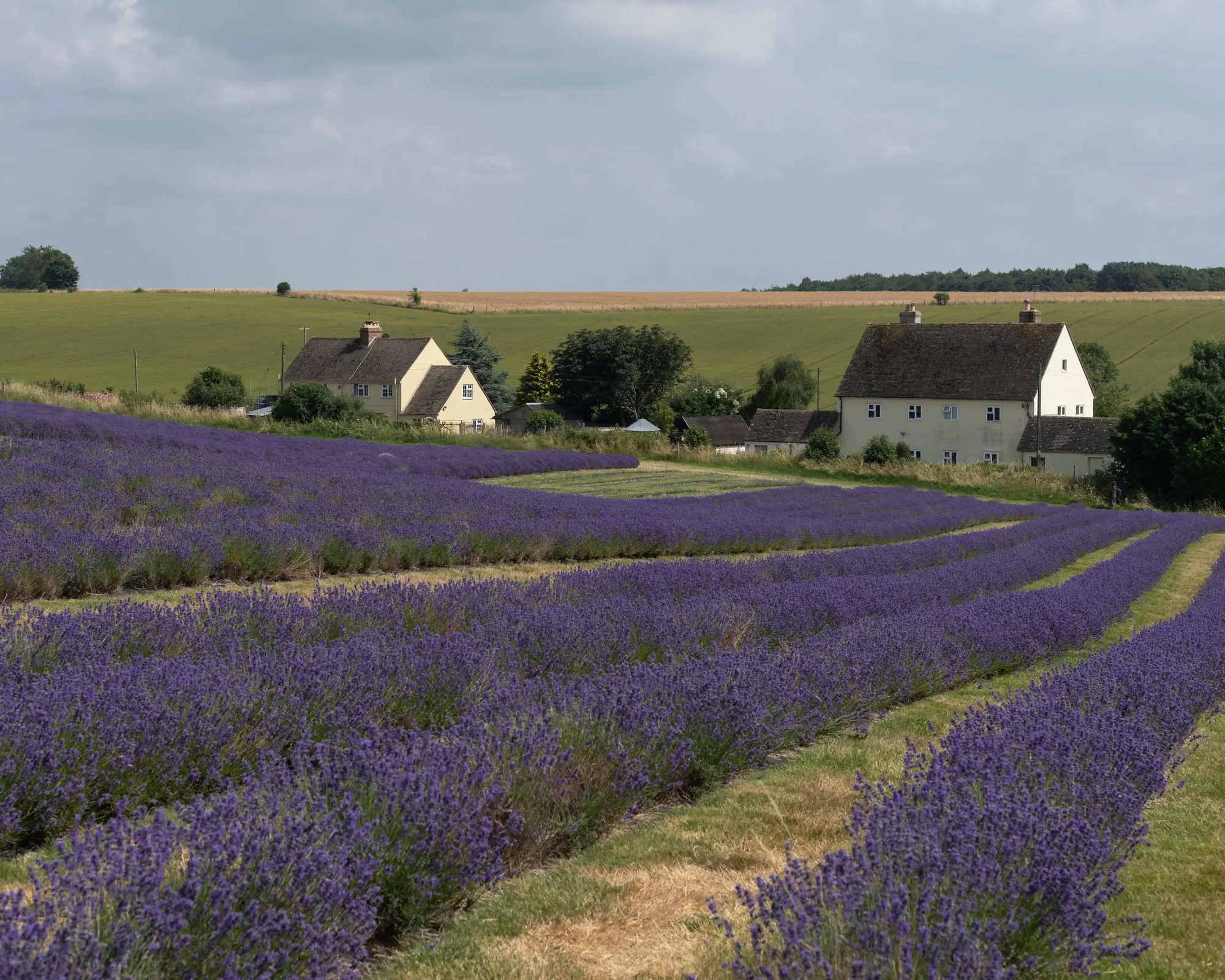 Cotswolds, Regno Unito