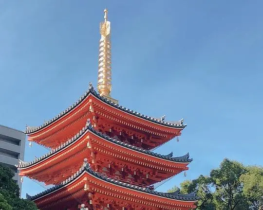 Immersion au Japon