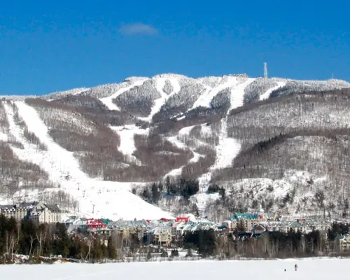 MEGA CANADÁ DESDE CANCÚN CVU