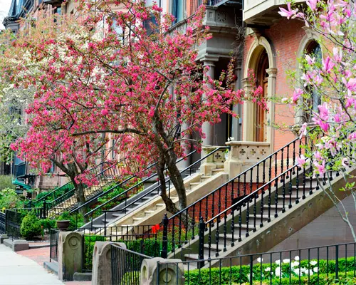 Beautiful East - Standard