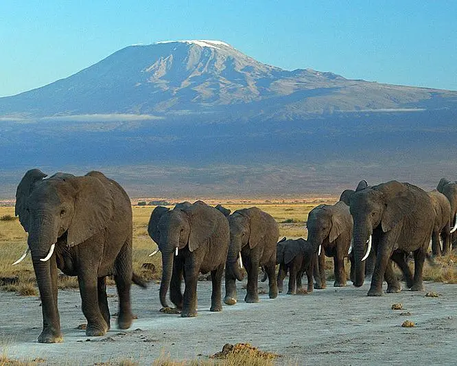 Safari Pamoja Ndogo e Mare