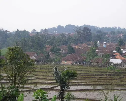 Giardini Botanici di Bogor