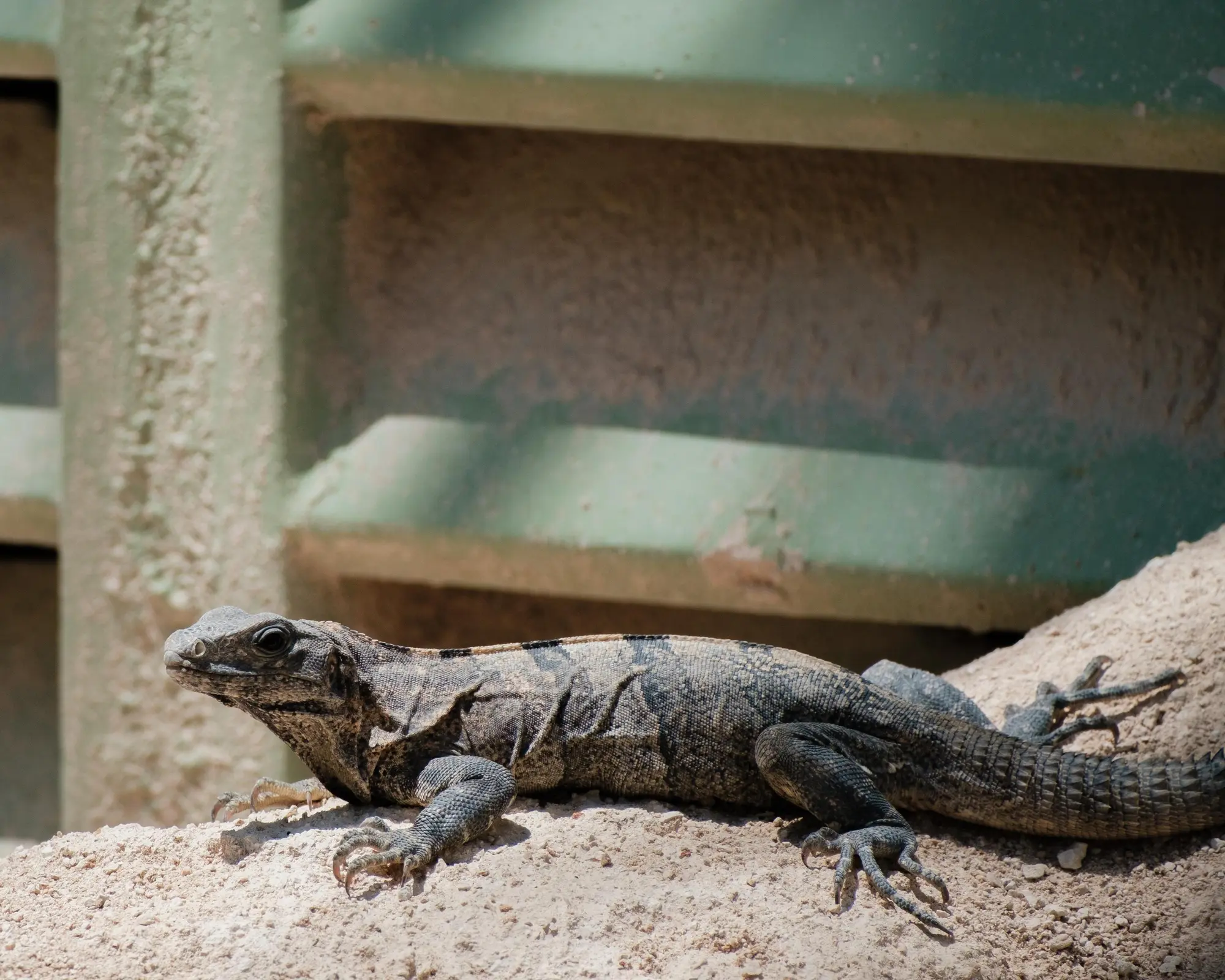 Yucatan hors des sentiers battus