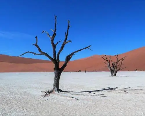 Journeys: Discover Kruger & Namibia