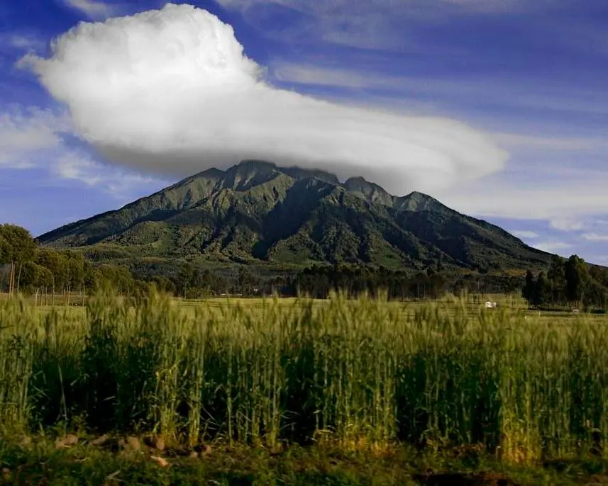 キニジ火山国立公園, ルワンダ