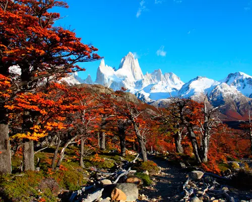 Rendez-vous en Argentine