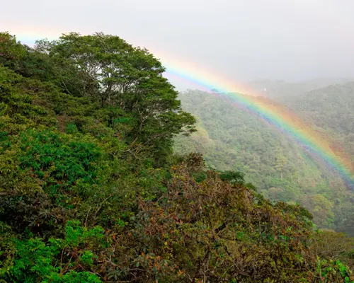 Entre Jungle, Plages et Volcan