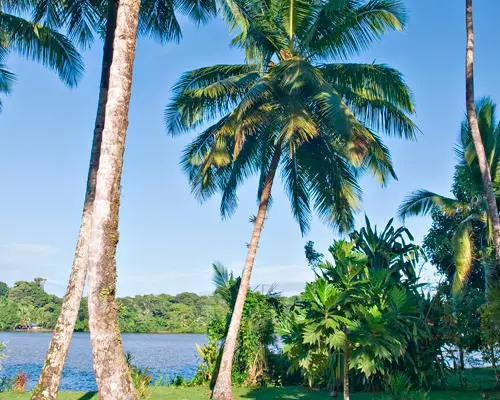 Entre Jungle, Plages et Volcan