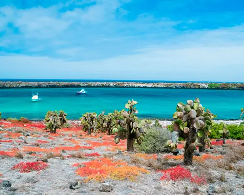 ガラパゴス諸島, エクアドル