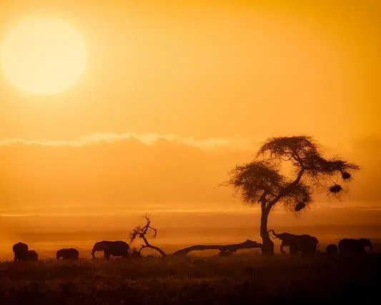 Safari Pamoja Ndogo e Mare