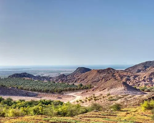 Sir Bani Yas Island, Объединенные Арабские Эмираты