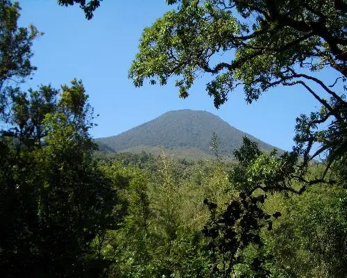 Thousand Hills Safari