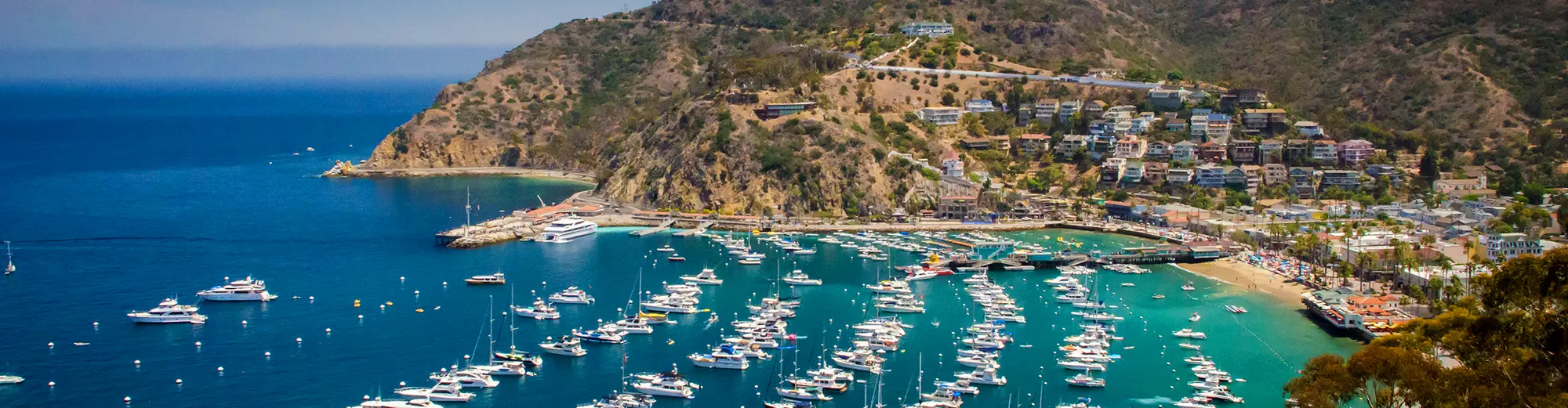 Pulau Santa Catalina, Amerika Syarikat