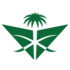 Saudi Arabian Airlines