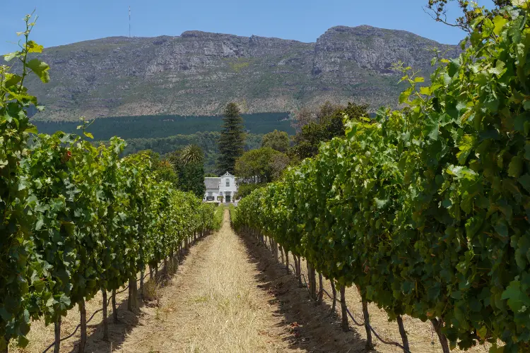 Cape Town and Garden Route from 6.322