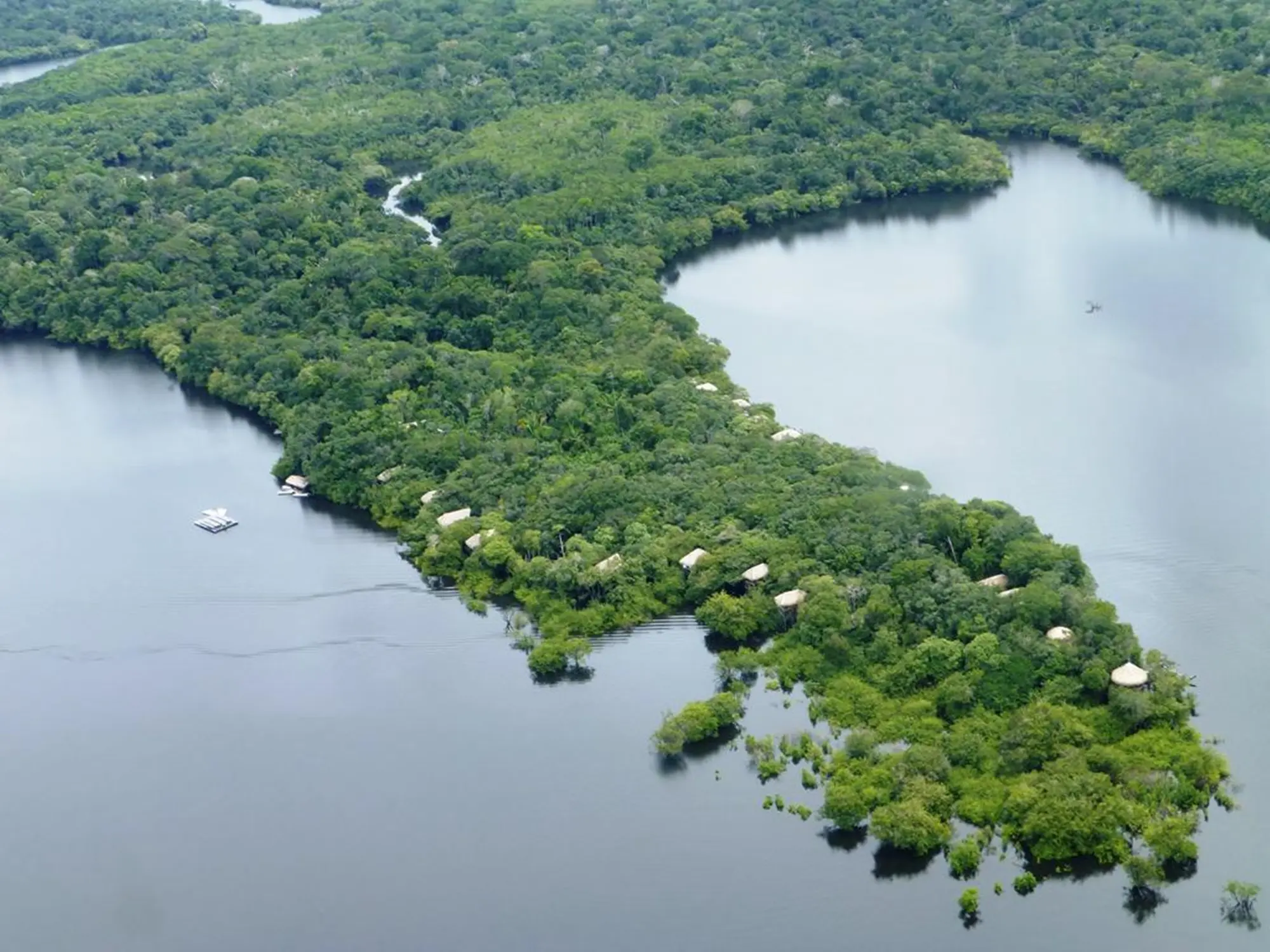 Juma Amazon Lodge - Queensberry Viagens