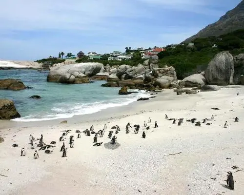 Réservez vos vacances avec Routard Voyages: Simons Town