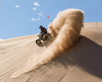 Image - Desert And Coastal Safari (4WD)