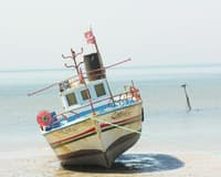 Immagine - Tunisia Tour Stellare partenza da Milano dal 16 mag al 23 mag