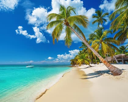 Immagine - Punta Cana