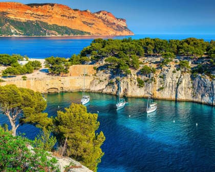 Image - 🛳️ MSC Sinfonia