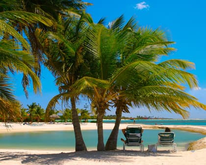 Immagine - Aruba