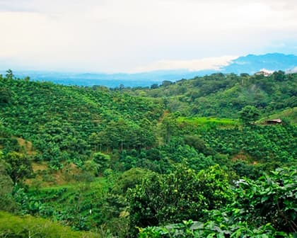 Imagine - Explore San Jose, Arenal & Guancaste, Costa Rica