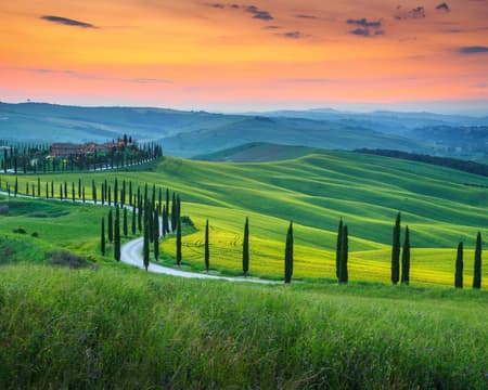Val d'Orcia Full Day Tour: Montalcino's Brunello, Montepulciano's Noble wine and Pienza Pecorino Cheese