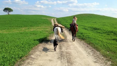 Horseback Riding in the Padule di Fucecchio Natural Reserve (pick up from your accommodation)