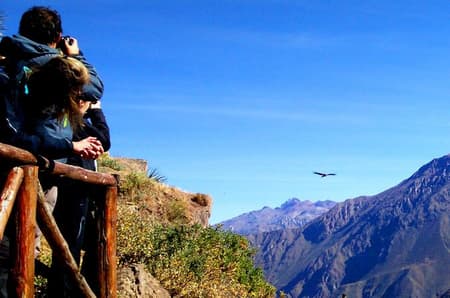 Excursión de día completo por el Cañón del Colca, todo incluido.