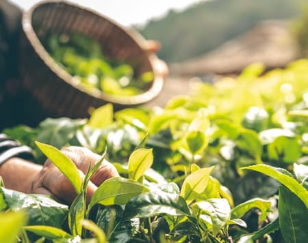 Cooking Class a Riomaggiore tra gusto e tradizione