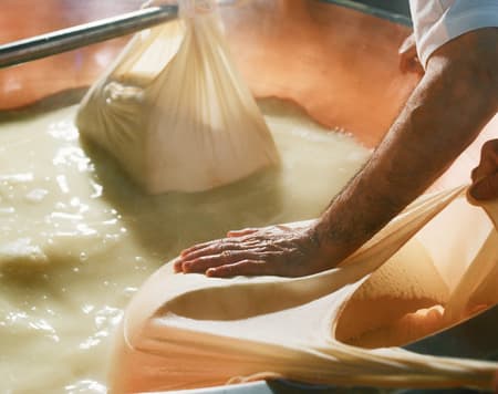 Reggio Emilia and the flavours of traditional food and wine 