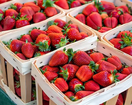 Gelato Masterclass en Bolonia entre gusto y tradición