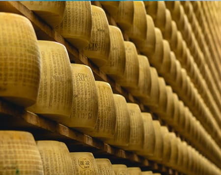 Nelle colline di Parma in e-bike 