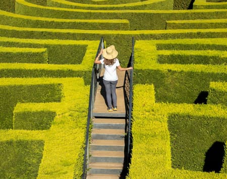 Die Kunst und Aromen von Bologna 