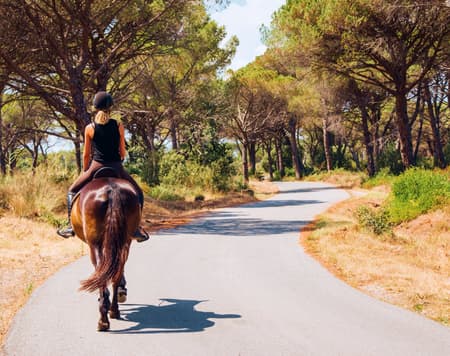 On horseback in the Langhe between nature and flavours 
