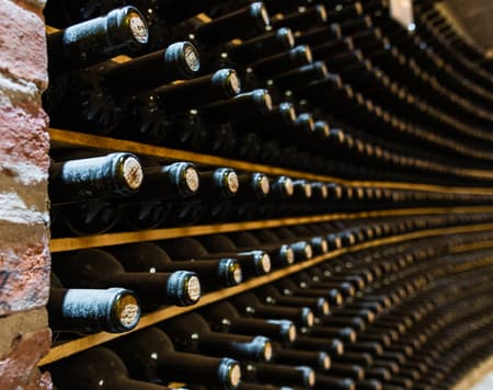 Langhe Wine Experience tra saperi e sapori