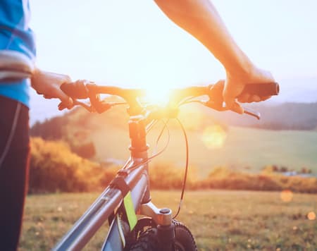 Expérience Mondolfo entre histoire et goût  