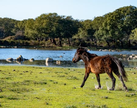 Im Herzen von Marmilla 