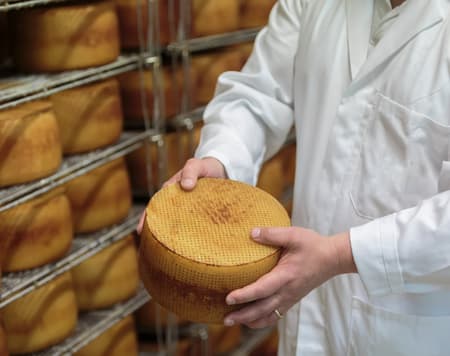 Todos los sabores de Gallura