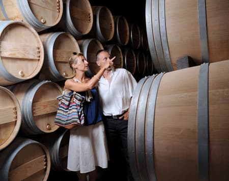 Wine tour in Salento between tradition and taste