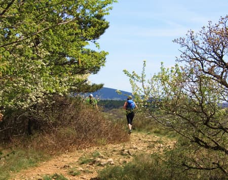 Walk on the Karst between nature and beauty