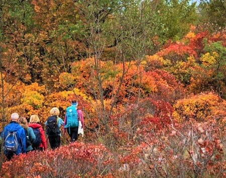 The treasures of the Karst between nature and relaxation
