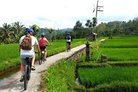 Elektrische fietstocht door Ubud met gratis hoteltransfer en lunch
