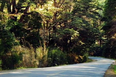 Visita ao Cerro Catedral de Bariloche