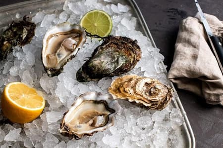 Balade en bateau dans la baie de Ston et visite des huîtres et du vin au départ de Dubrovnik