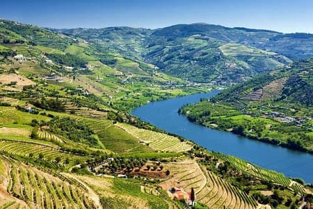 Tour completo do Vale do Douro com almoço, degustações de vinhos e cruzeiro no rio