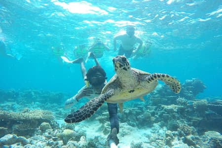 Sandbank Snorkeling and Sunset Cruise